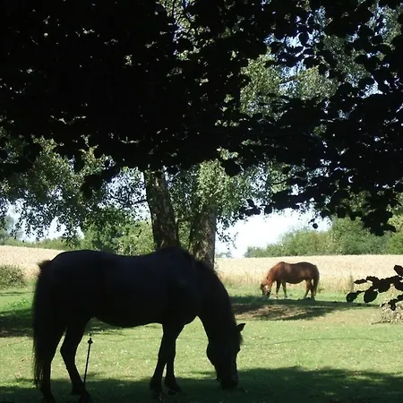 Schmidt Family - Milking House