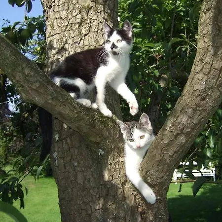 Schmidt Family - Milking House Dom wakacyjny